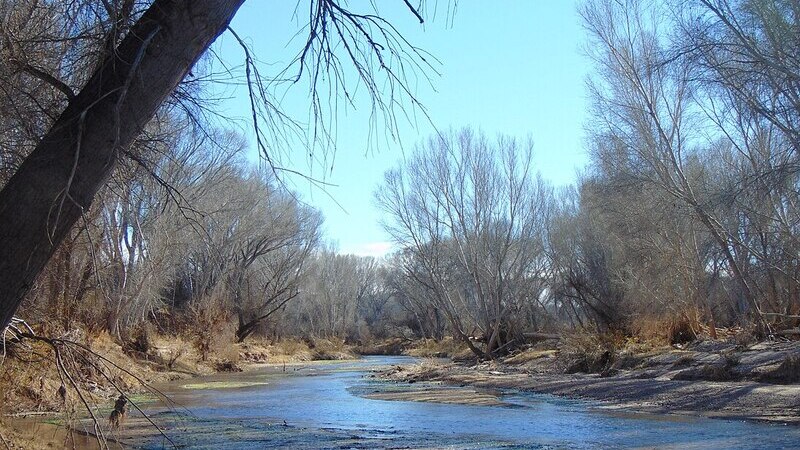 San Pedro River at the Little Boquillas Ranch