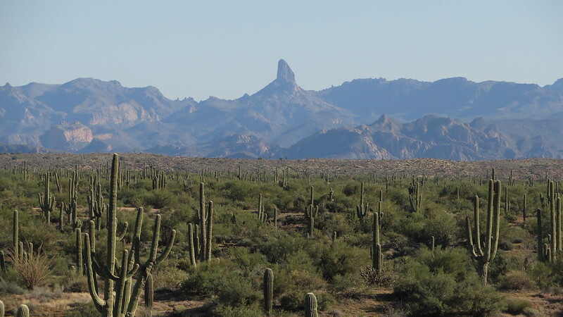 Superstition Mountains in the Tonto National Forest