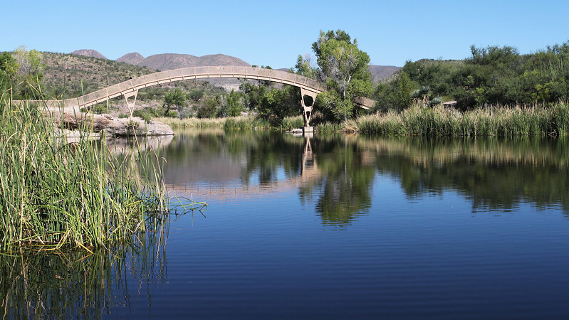 Patagonia Lake State Park