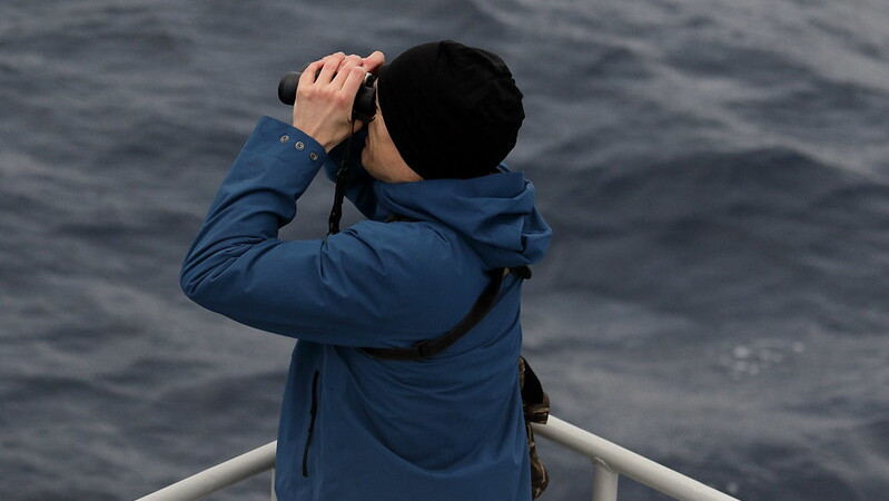 A birder uses binoculars during a pelagic trip, illustrating some essential bird watching terms