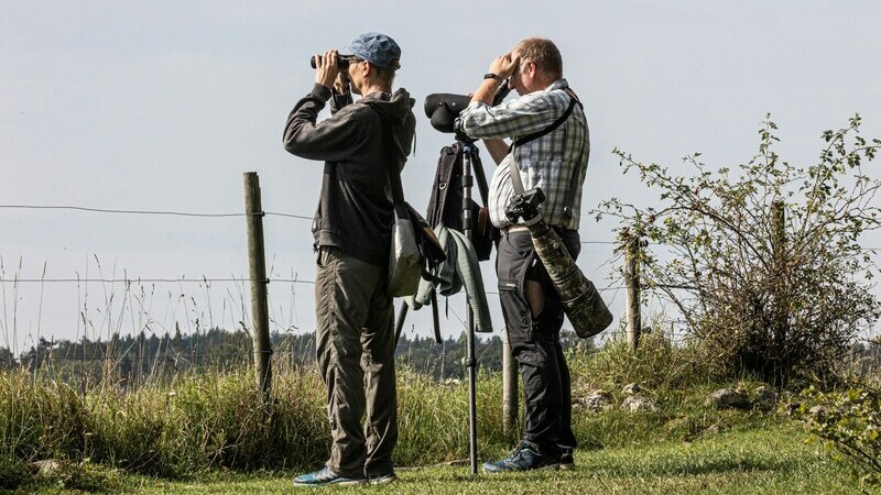 Two birdwatchers using a spotting scope and binoculars